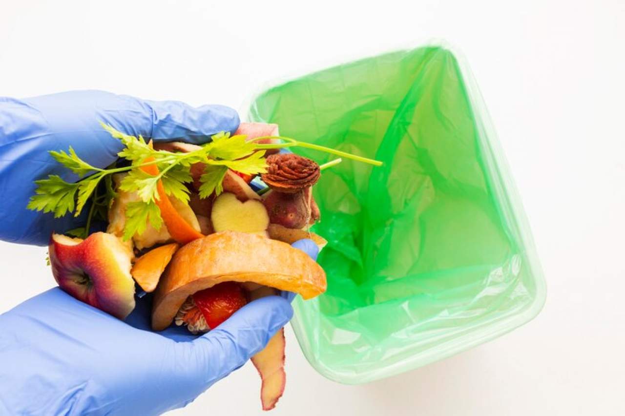 Menelaah Perilaku Food Waste pada Generasi Muda